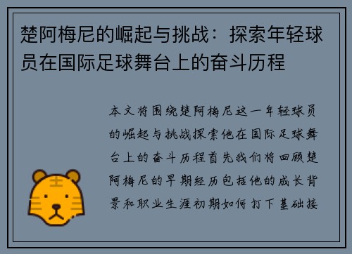 楚阿梅尼的崛起与挑战：探索年轻球员在国际足球舞台上的奋斗历程